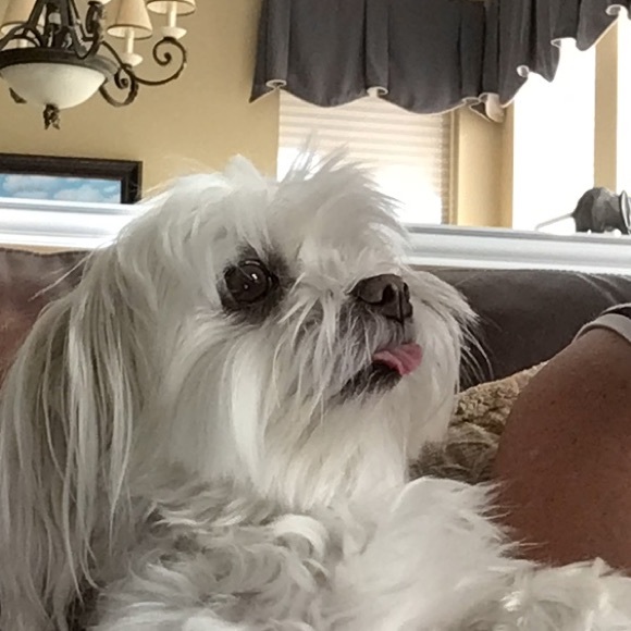 Meet your Posher, Sandra - Picture 1 of 1